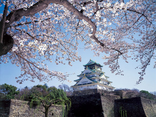 <双古都>日本本州7日游 国航名古屋往返 名古屋 大阪 京都 奈良 箱根 横滨 东京                                     