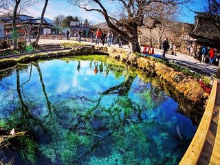 【日本本州】传统本州7日游 双古都 带白川乡                                     