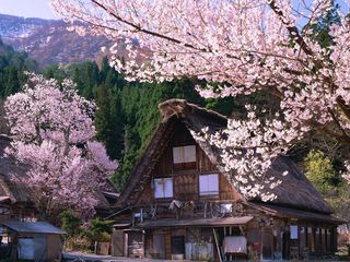 【白川乡】日本本州6日(世界文化遗产白川乡)