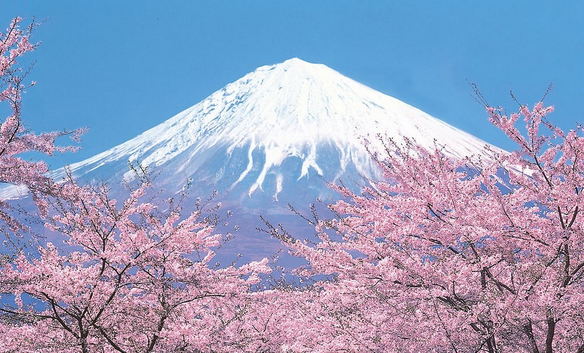 【日本】东京、箱根、大阪、京都6日（含一天东京自由活动）                                     