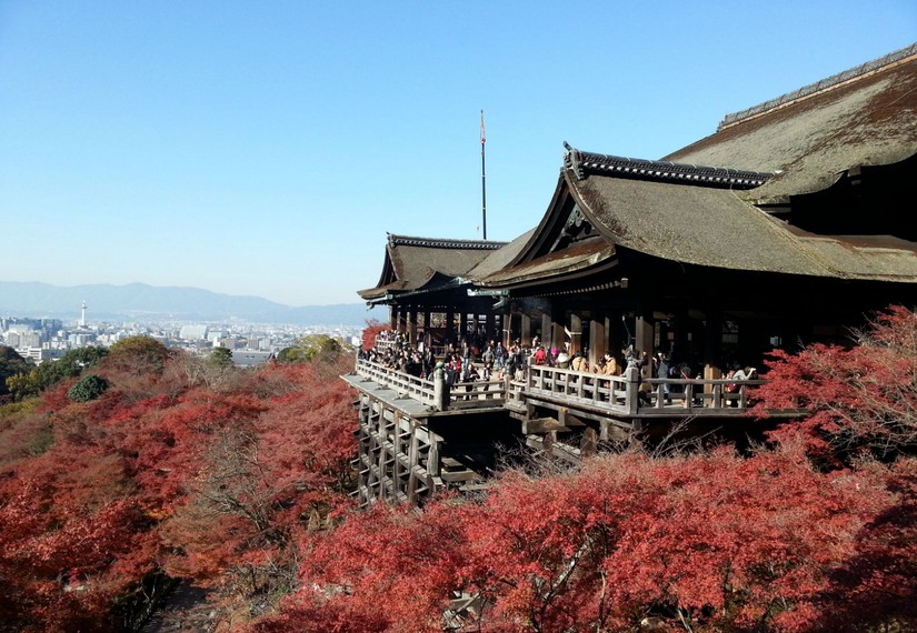 【日本】东京、箱根、大阪、京都6日（含一天东京自由活动）                                     