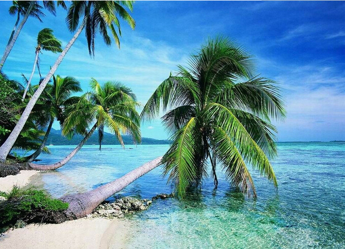 <曼谷+芭提雅+珊瑚岛+金沙岛>泰国5晚7日游 绝无自费 泰航直飞