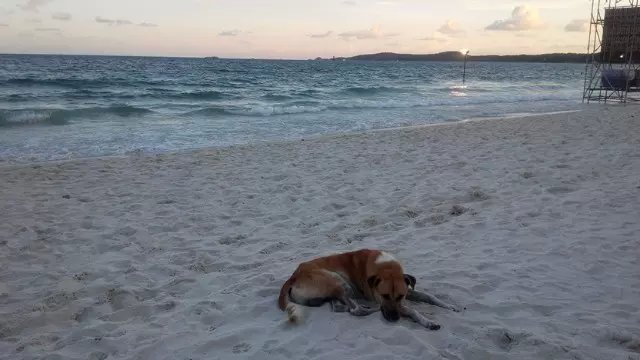 <高端泰国>曼谷+芭提雅+沙美岛5晚7天 仅2站购物 全程无自费 夜宿沙美岛 直飞