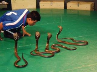 <曼谷、芭提雅>泰国一地5晚7日游 保证入住一晚国际五星喜来登酒店