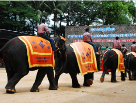 <顶级度假产品>曼芭沙5晚7日游 仅3站购物 2晚希尔顿+2晚铂尔曼+1晚沙美                                     