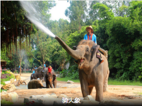 <顶级度假产品>曼芭沙5晚7日游 仅3站购物 2晚希尔顿+2晚铂尔曼+1晚沙美                                     