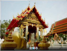 <半自助>泰一地5晚7日游 2天自由活动                                     