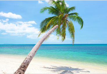 <越南芽庄>天津芽庄帝国温德姆半自由5晚6天游 五星级酒店                                     