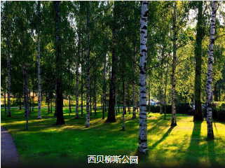 <北欧四国>北欧巡游记  瑞典 挪威 丹麦 芬兰 四国8日游 国航直飞                                     