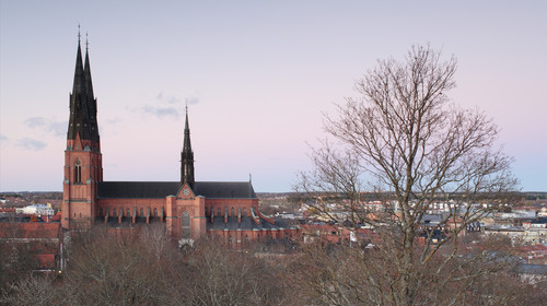 北欧四国双峡湾10天>峡湾游船 果园采摘 北欧游轮