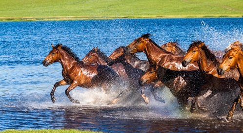 <俄罗斯专列>蒙古国 贝加尔湖 国际专列穿越亚欧大陆9日游                                      