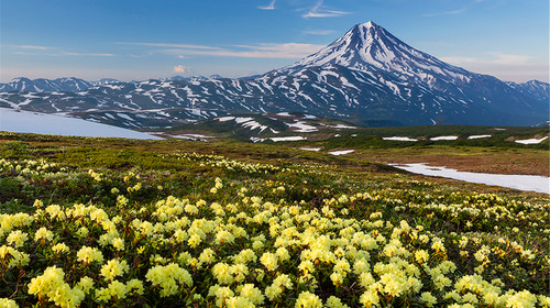 【情迷海参崴】北京延吉俄罗斯海参崴双高7日跟团游(珲春出境)