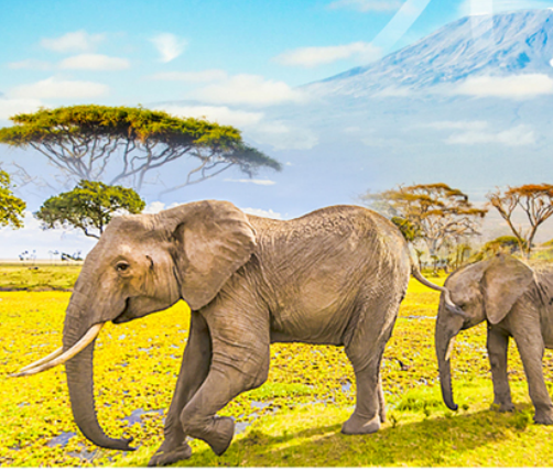 <非洲动物王国巡猎记>肯尼亚纯玩10日游 南方航空 全国联运                                     