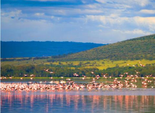 <追梦肯尼亚>肯尼亚迁徙之旅7晚10天 纯玩无购物 阿联酋航空 五星酒店