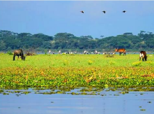 <追梦肯尼亚>肯尼亚迁徙之旅7晚10天 纯玩无购物 阿联酋航空 五星酒店