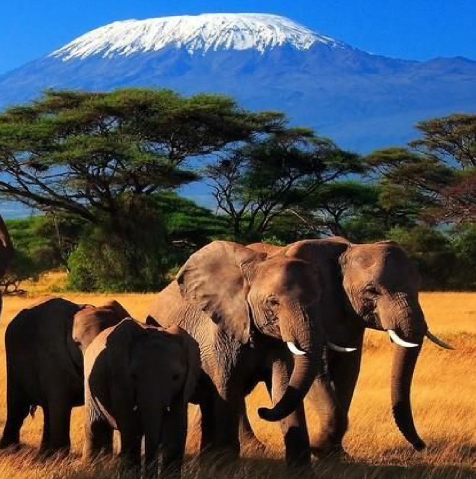<私享深度>肯尼亚私享深度10日游 开启大迁徙篇章 阿联酋航空