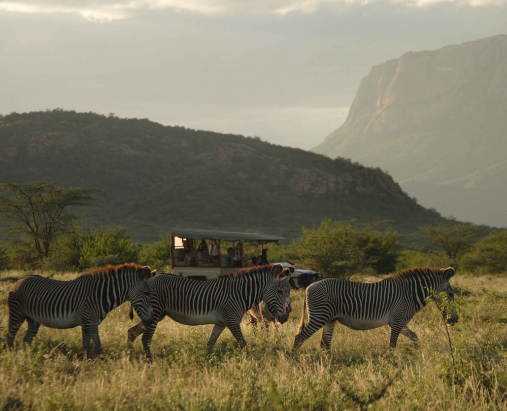 <盛宴迁徙季> 肯尼亚桑布鲁全景深度13日游 17人小团 纯玩无购物无自费                                      