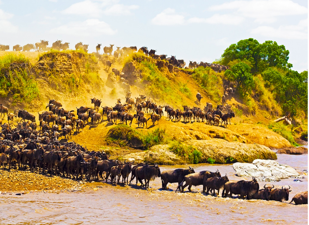 <盛宴迁徙季>肯尼亚狂野草原经典10日 17人小团 北京出发 阿联酋航空                                      