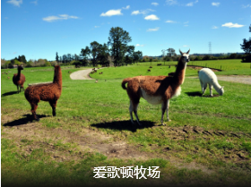 【澳新凯墨】海陆空 澳新墨尔本 凯恩斯12日 畅收团                                     