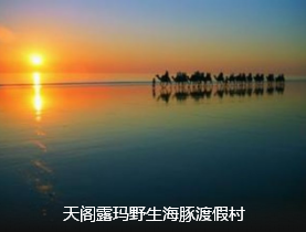 <澳大利亚>澳大利亚一地8日游 纯玩无购物 邂逅海豚岛 南方航空 深圳转机                                     