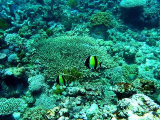 【高端奥凯】澳大利亚、凯恩斯9日                                     