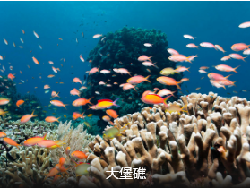 【澳新凯】完美海陆空 澳新凯13日 北京起止 昆明转机                                     