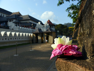 【国航转机】斯里兰卡休闲七日游(国航转机)(三星)