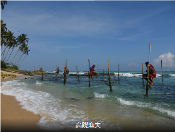 【奇迹旅行】度假系列_隐匿于斯里兰卡，安缦比你更懂浪漫4晚5日                                     