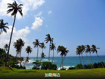 【奇迹旅行】度假系列_隐匿于斯里兰卡，安缦比你更懂浪漫4晚5日                                     