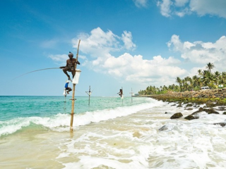 【质享锡兰】斯里兰卡经典八日游(斯航直飞)(三星)