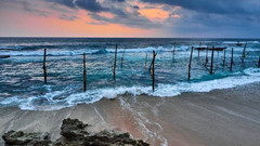 【尊享】斯里兰卡顶级金牌七日游（香格里拉 + 希尔顿 +米其林螃蟹宴）                                     