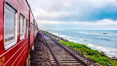 【亲子游】小国大奇迹斯里兰卡色亲子8日游（含雅拉）                                     