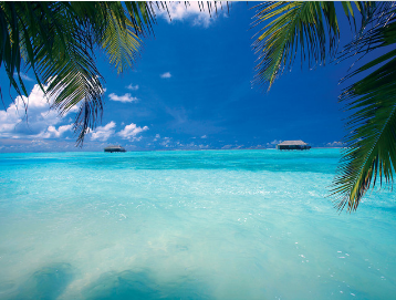 【大爱印度洋】斯里兰卡+马尔代夫 8 晚 10 日半自助游                                     