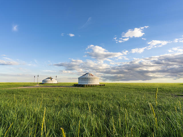 神秘蒙古国·异域风情双飞+国际列车双卧 7 日