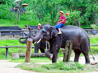 【天津出发】<曼谷+芭提雅+沙美岛>泰一地5晚7日游 海航直飞 .参观三大奇观