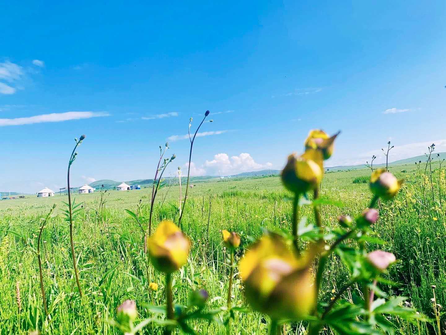 超值草原：丰宁坝上草原 大美闪电湖草原湿地 草原游乐场嗨翻天二日游                                     