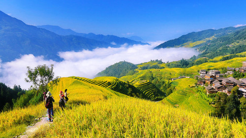 <康养广西全景 双卧11天>桂林+漓江四星船+阳朔西街                                     