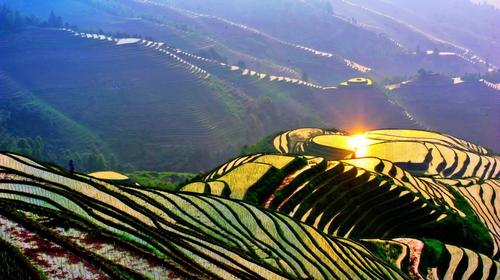 深度龙脊-桂林+龙脊梯田  双飞六日                                     