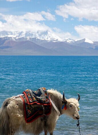 拉萨、林芝、纳木错、雅鲁藏布大峡谷双卧11/单飞9/双飞7日