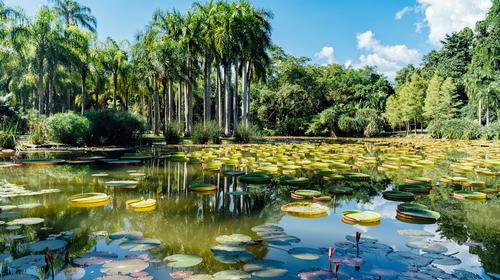 【天津出发】<湖光山色>北京直飞 丽江⇋往返 6日游 浪漫云南奔去自由