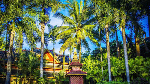 【天津出发】<傣小包>北京直飞西双版纳4晚5日游 2-15人精品小团 纯玩                                     