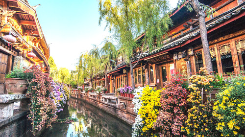 【天津出发】<向往的旅行>丽江 | 大理 | 玉龙雪山 5晚6日跟团游