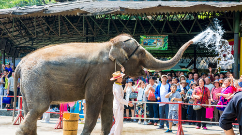 【天津出发】<走过版纳的万山千水>云南南线大全景昆明/抚仙湖/普洱/版纳5晚6日