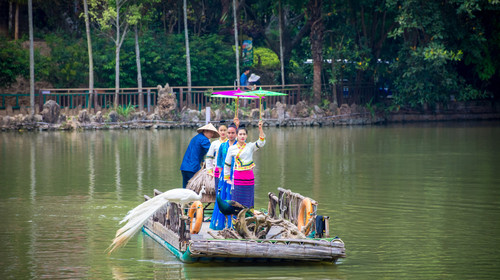 【天津出发】<走过版纳的万山千水>云南南线大全景昆明/抚仙湖/普洱/版纳5晚6日