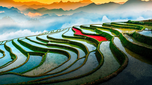 【天津出发】<滇东南春摄环线>滇东南全景双卧11日游                                     