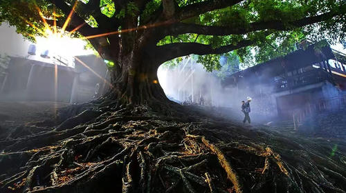 【天津出发】<滇东南春摄环线>滇东南全景双卧11日游                                     