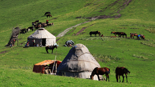 <疆内14天>新东方快车 喀纳斯+赛里木湖+那拉提+喀什+天山天池