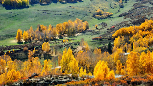 <穿越南北疆14日游>新疆专列B线 可可托海+咯纳斯+那拉提+喀什+库车+卡拉库里湖