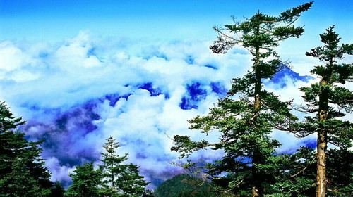 <总裁系列>下水纯玩  重庆、石宝寨、神农溪、三峡大坝、宜昌 双卧6日游                                     