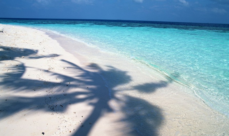 【巴厘岛4晚6天】全程入住精致4钻星光泳池酒店                                      